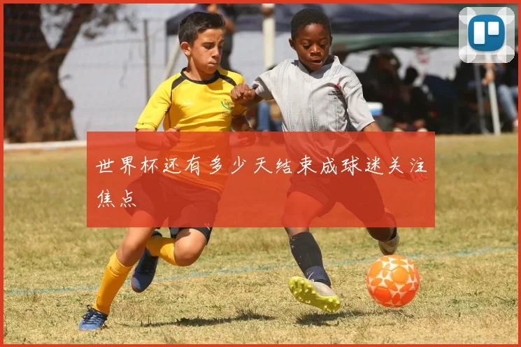 世界杯还有多少天结束成球迷关注焦点