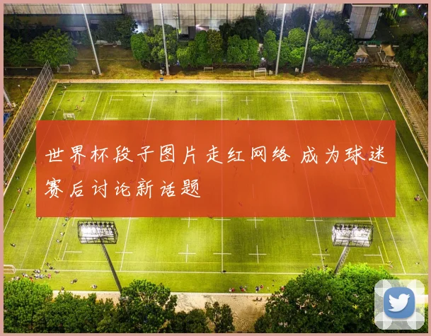 世界杯段子图片走红网络 成为球迷赛后讨论新话题