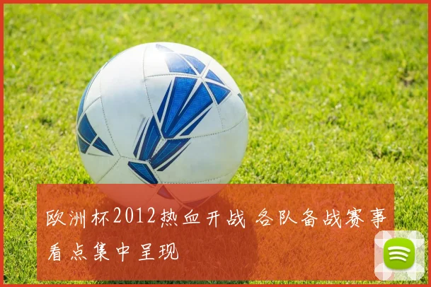 欧洲杯2012热血开战 各队备战赛事看点集中呈现