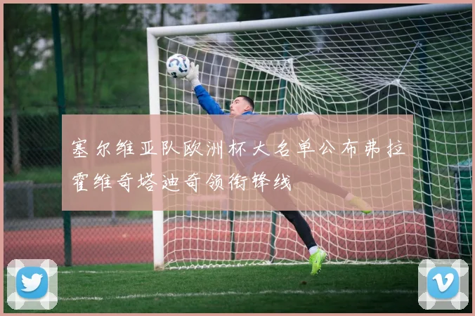 塞尔维亚队欧洲杯大名单公布弗拉霍维奇塔迪奇领衔锋线