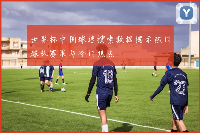 世界杯中国球迷搜索数据揭示热门球队赛果与冷门焦点