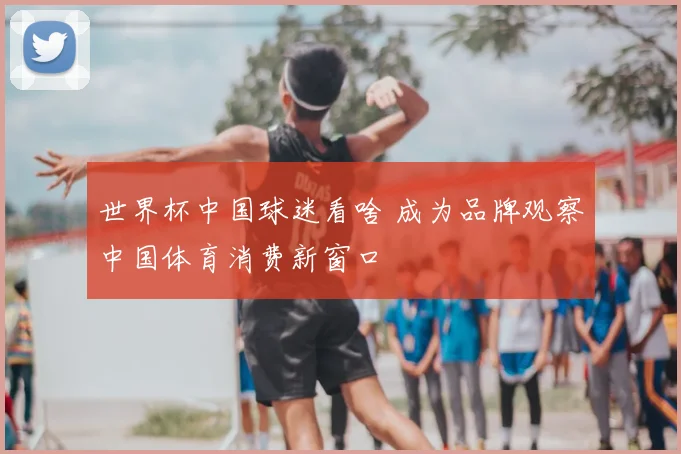 世界杯中国球迷看啥 成为品牌观察中国体育消费新窗口