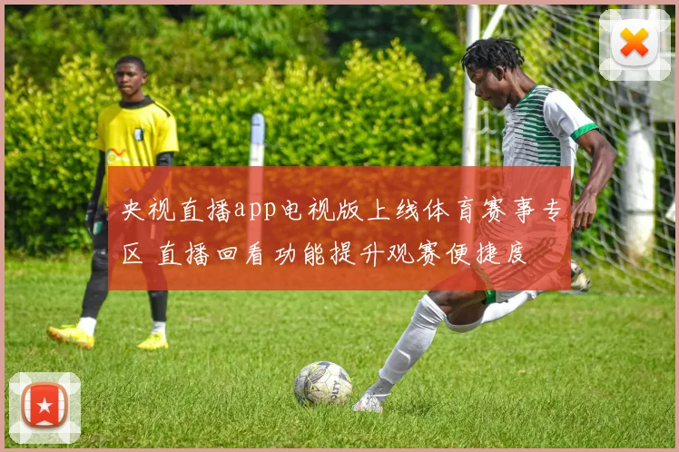 央视直播app电视版上线体育赛事专区 直播回看功能提升观赛便捷度