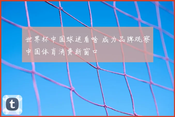 世界杯中国球迷看啥 成为品牌观察中国体育消费新窗口