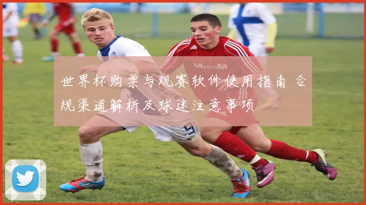 世界杯购票与观赛软件使用指南 合规渠道解析及球迷注意事项